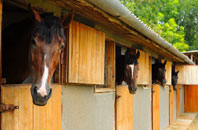 free Lower Kingswood stable construction quotes
